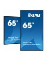 iiyama Monitor wielkoformatowy 64.5 cala LH6554UHS-B1AG 24/7,IPS,ANDROID.11,4K,SDM,2x10W - nr 2