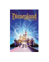 microsoft MS ESD 1PP GonD C2C X1 Online Gaming Disneyland Adventures Download - nr 1