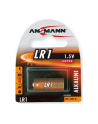 Bateria alkaliczna LR1 - nr 7