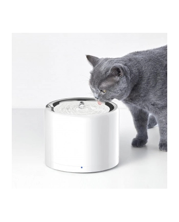 PETKIT EVERSWEET WIRELESS - INTELIGENTNE POIDEŁKO DLA PSA I KOTA - ŁĄCZNOŚĆ BLUETOOTH