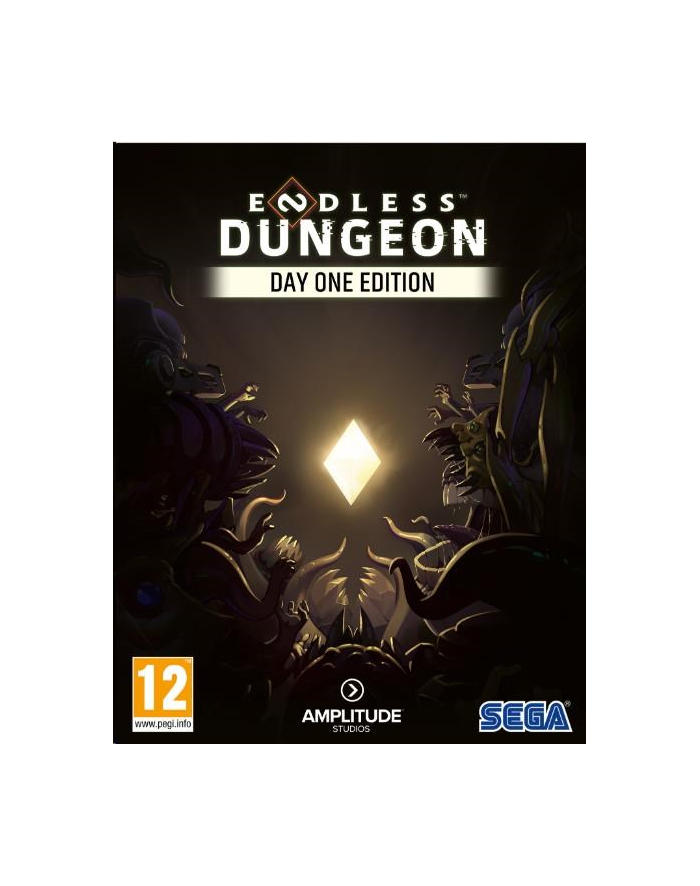 Endless Dungeon Day One Edition (Gra PC) główny