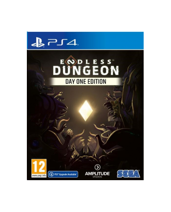 Endless Dungeon Day One Edition (Gra PS4)