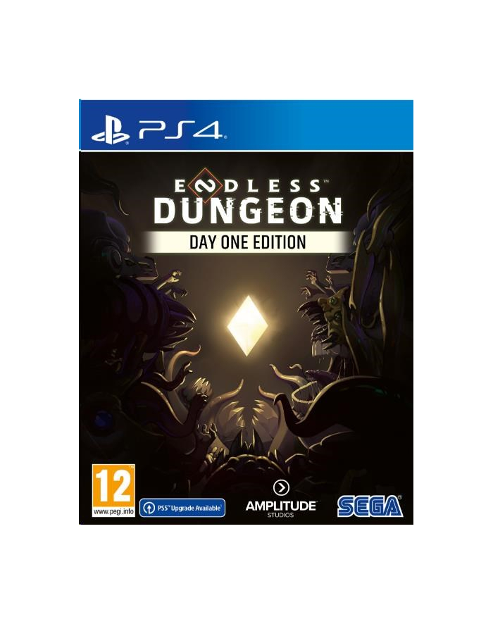 Endless Dungeon Day One Edition (Gra PS4) główny