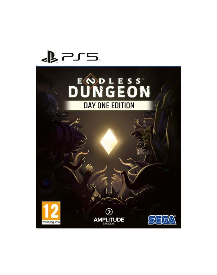 Endless Dungeon Day One Edition (Gra PS5) główny