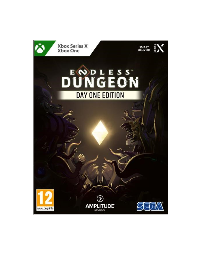 Endless Dungeon Day One Edition (Gra Xbox Series X) główny