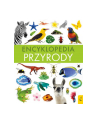 foksal Encyklopedia przyrody - nr 1