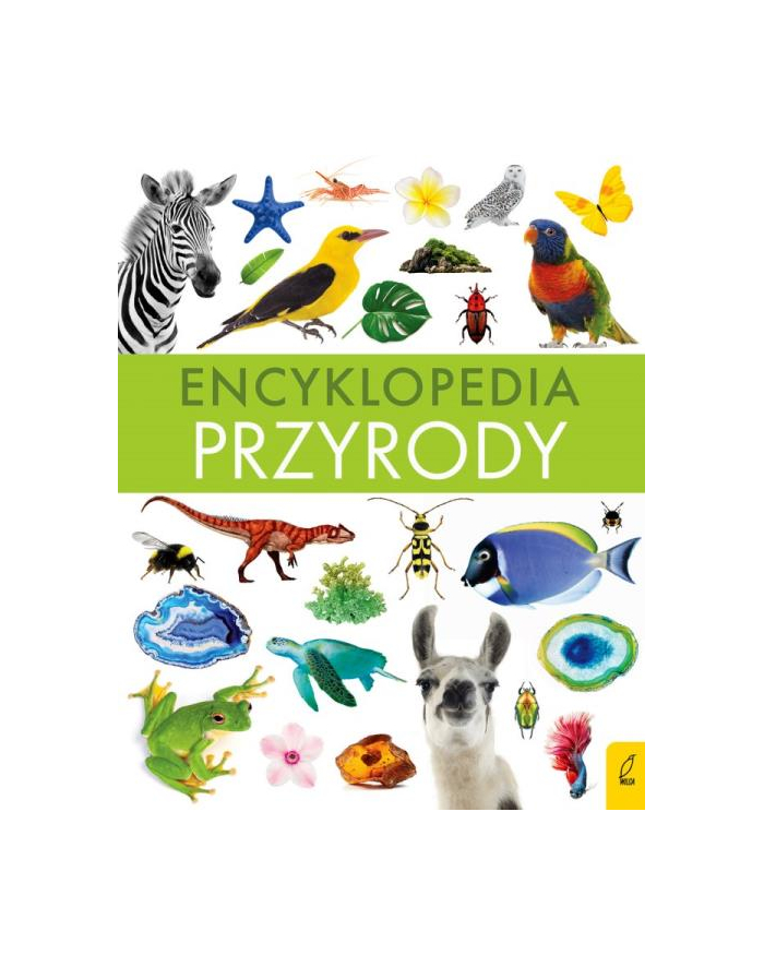 foksal Encyklopedia przyrody główny