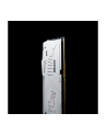 kingston Pamięć DDR5 Fury Beast White RGB  64GB(2*32GB)/5600Mhz  CL40 - nr 22