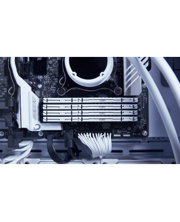 kingston Pamięć DDR5 Fury Beast White 32GB(1*32GB)/6000 CL36