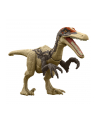 Jurassic World Niebezpieczny dinozaur Austroraptor HLN50 HLN49 MATTEL - nr 2