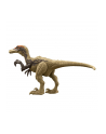 Jurassic World Niebezpieczny dinozaur Austroraptor HLN50 HLN49 MATTEL - nr 5
