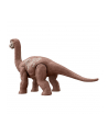 Jurassic World Niebezpieczny dinozaur Brachiosaurus HLN52 HLN49 MATTEL - nr 5