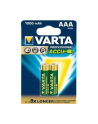 Akumulator Professional 5703 1000mAh HR03/AAA - nr 22