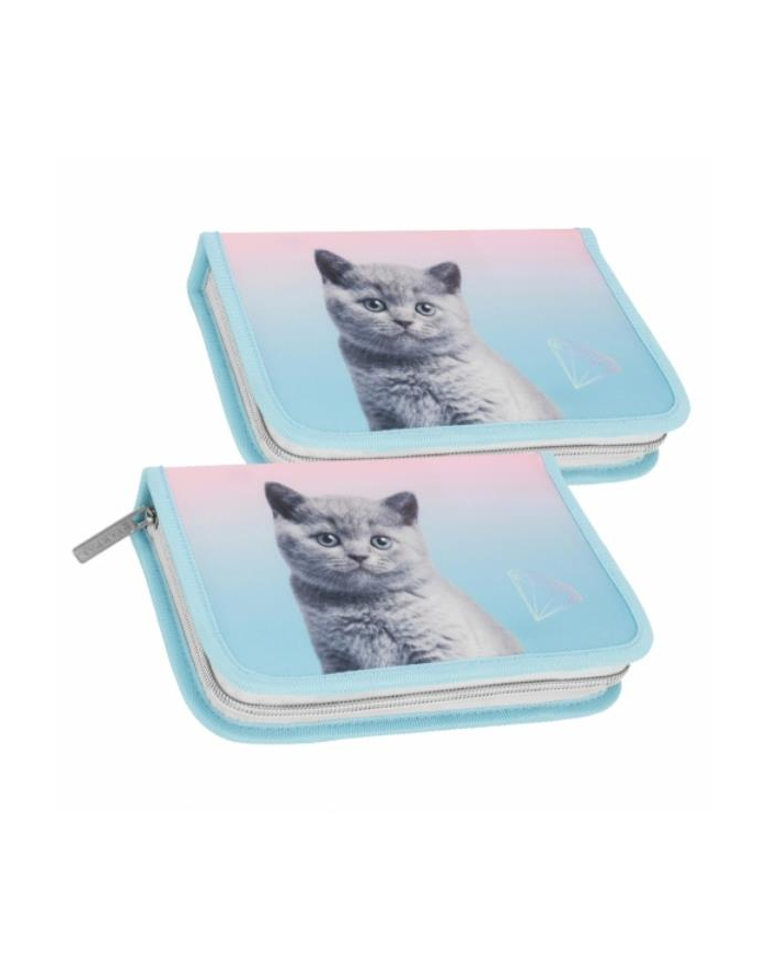 Piórnik 1zamek 2klapki bez wyposażenia Kitty1 STARPAK 506696 główny