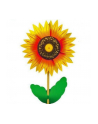 norimpex PROMO Wiatrak 26cm Girasol - nr 1