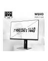 msi Monitor 27 cali PRO MP273QP FLAT/IPS/WQHD/75Hz/4ms - nr 34