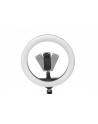digitus Lampa pierścieniowa LED RING 10 cali, wysuwany statyw, uchwyt na telefon, pilot, USB 2m - nr 5