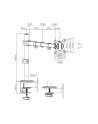 gembird Ramię dla monitora biurkowe  (regulowane), 17 cali -32 cale, do 9 kg - nr 5