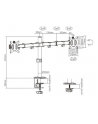 gembird Ramię dla dwóch monitorów biurkowe  (regulowane), 17 cale- 32 cale, do 9kg - nr 2