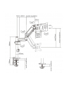 gembird Ramię/uchwyt na monitor biurkowe, regulowane  od 17 cali do 32 cale, obciążenie do 9 kg - nr 5