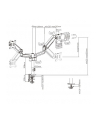 gembird Ramię/uchwyt na dwa monitory biurkowe, regulowane  od 17 cali do 32 cale, obciążenie do 9 kg - nr 5