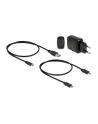 D-ELOCK M.2 Docking Station for 2 x M.2 SATA SSD with Clone function - nr 20