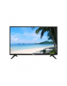 dahua Monitor LED 43 cale LM43-F200 - nr 10