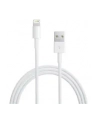 Apple Przewód ze złącza Lightning na USB (2m) MD819ZM/A - nr 10