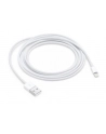 Apple Przewód ze złącza Lightning na USB (2m) MD819ZM/A - nr 11