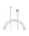 Apple Przewód ze złącza Lightning na USB (2m) MD819ZM/A - nr 8