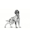 Royal Canin Hypoallergenic 2kg - nr 2