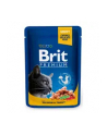 Brit Cat Pouches Salmon'amp;TROUT 100g - nr 2