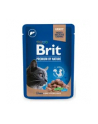 Brit Cat Pouches LIVER FOR Sterilized 100g - nr 2