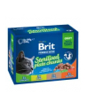 Brit Cat Pouches STERILE PLATE 1200g (12x100g) - nr 5