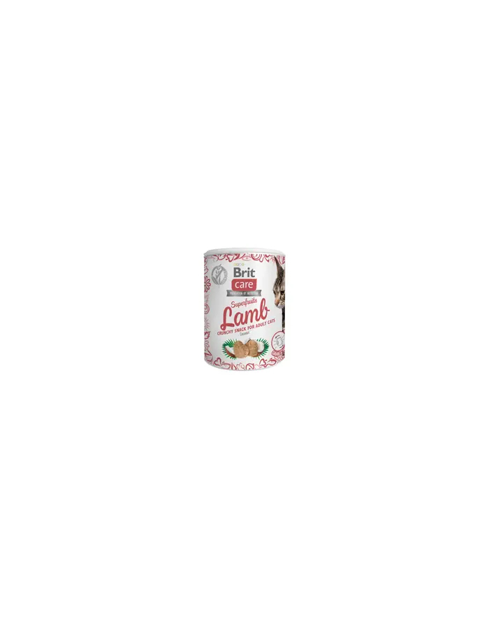 Brit Care Cat Snack Superfruits Lamb 100g główny