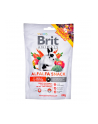 Brit Animals Alfalfa Snack FOR ROD-ENTS 100g - nr 1