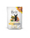 Brit Animals IMMUNE STICK FOR ROD-ENTS 80g - nr 1