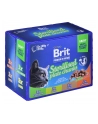 Brit Cat Pouches STERILE PLATE 1200g (12x100g) - nr 1