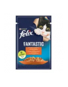 purina nestle Karma Felix Fantastic Kurczak, Pomidor 85g - nr 12