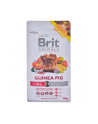 Brit Animals Guinea COMPLETE 300g - nr 2