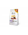 Brit Animals Rat COMPLETE 300g - nr 1