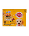 PEDIGREE Junior saszetka karma w galarecie dla psa12X100g - nr 2