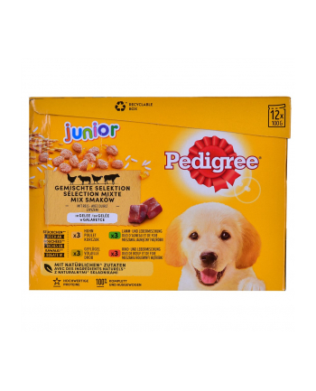 PEDIGREE Junior saszetka karma w galarecie dla psa12X100g