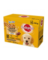 PEDIGREE Junior saszetka karma w galarecie dla psa12X100g - nr 4