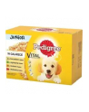 PEDIGREE Junior saszetka karma w galarecie dla psa12X100g - nr 5