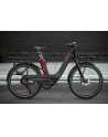 Rower elektryczny VAAST E/1 (wersja europejska) 275 ENVIOLO S Vibrant Berry Red / Black Cherry - nr 13