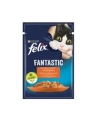 purina nestle Karma Felix Fantastic Kurczak, Pomidor 85g - nr 12