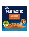 purina nestle Karma Felix Fantastic Kurczak, Pomidor 85g - nr 3