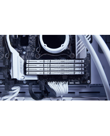kingston Pamięć DDR5 Fury Beast 64GB(4*16GB)/6000 CL40 biała
