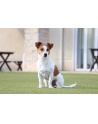 canon Obiektyw RF-S 55-210MM F5-7.1 IS STM 5824C005 - nr 24